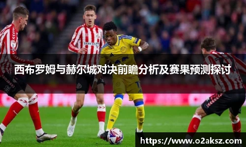 西布罗姆与赫尔城对决前瞻分析及赛果预测探讨