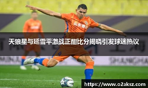 天狼星与延雪平激战正酣比分揭晓引发球迷热议